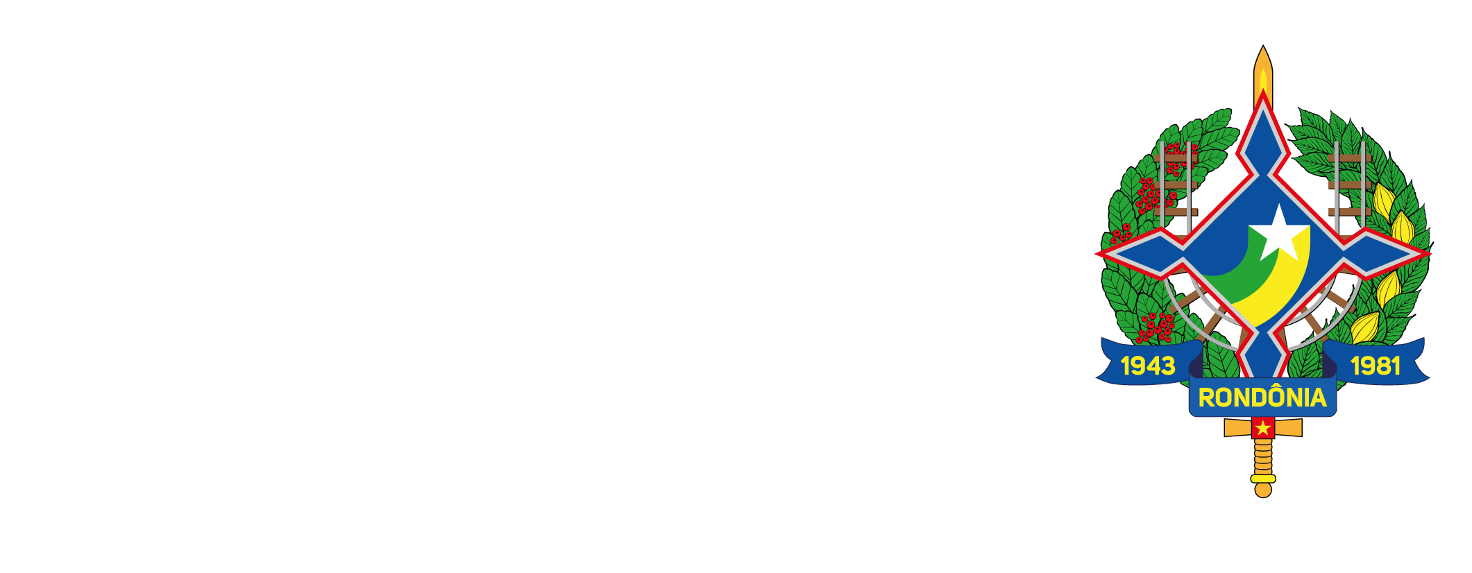 SEFIN - Gov. Rondônia Logo